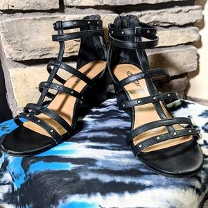 Seychelles| 8 1/2 Wedge W/Zipper in back